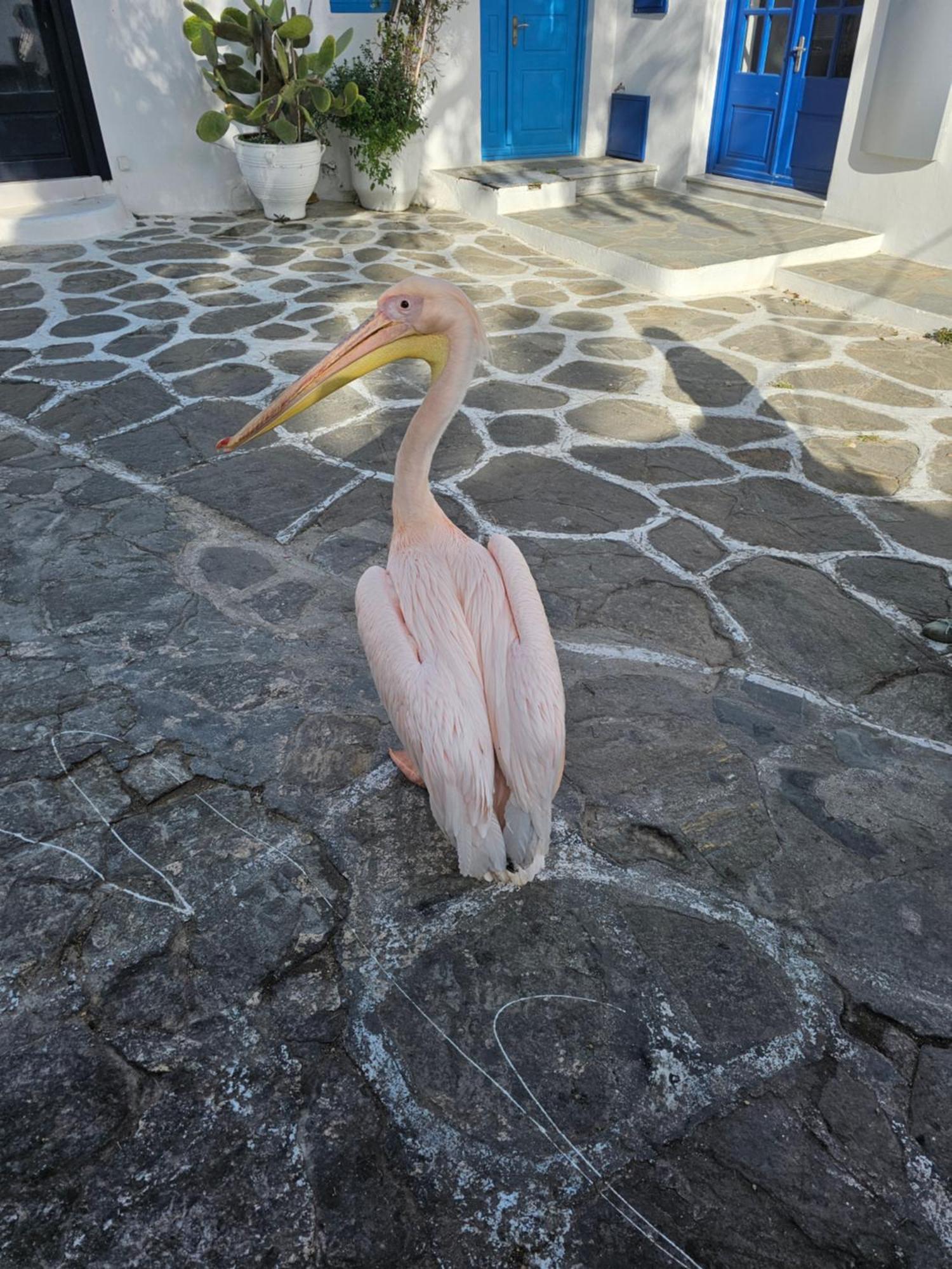Classy Classic * Mykonos Town